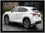 Crafted, Lexus, NX