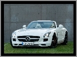 Znaczek, Mercedes-Benz SLS Roadster AMG, Maska