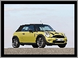 Pasy, Mini Cooper Cabrio, Czarne